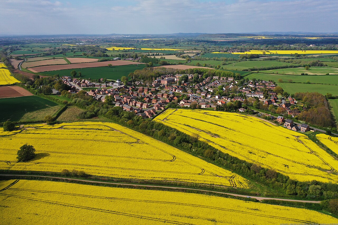 Postcode or Address: Why Availability Checks Disagree